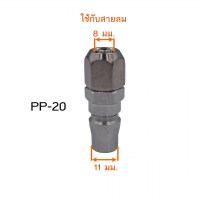 PP20 วัดไซต์8